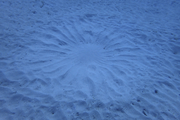 b0062363_123821.jpg