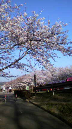 e0278968_21054664.jpg
