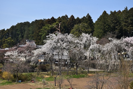 f0342371_14395267.jpg