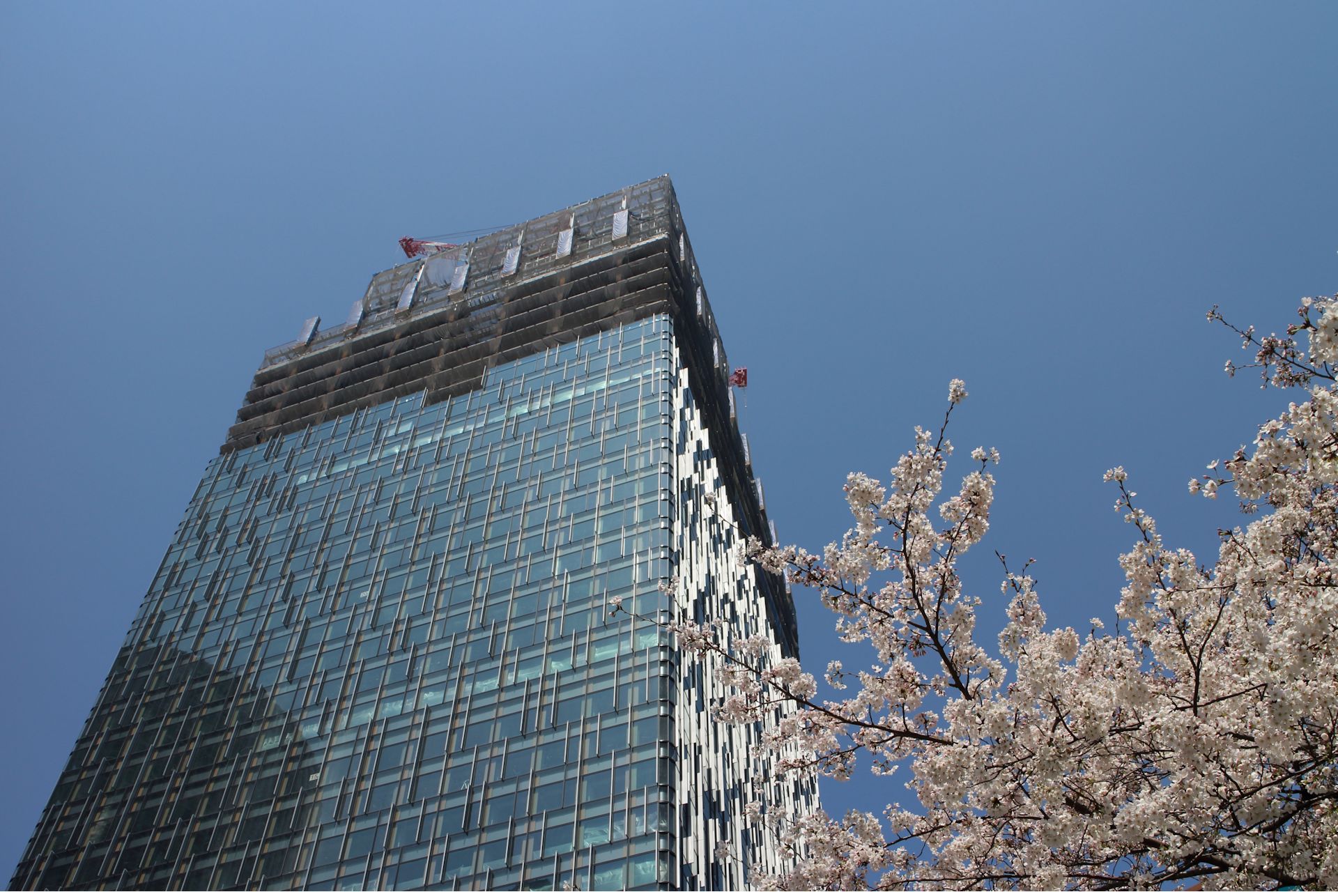 c0345982_082814.jpg