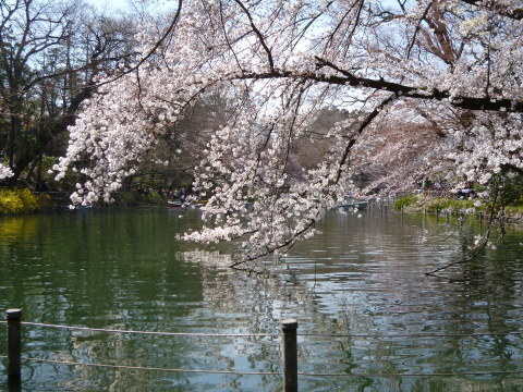 c0310987_18060328.jpg