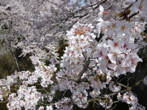 c0310987_18071701.jpg