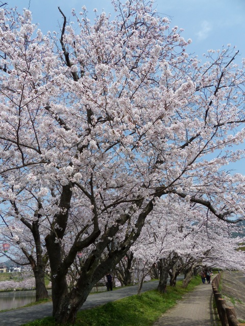 f0357487_22102845.jpg