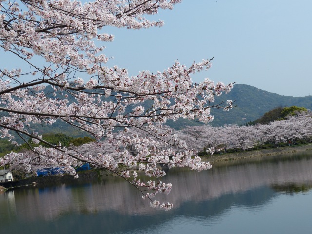 f0357487_2210786.jpg