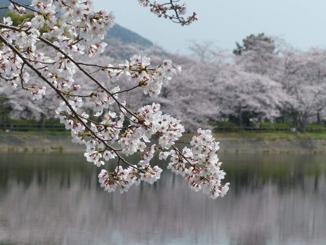 f0357487_2294793.jpg