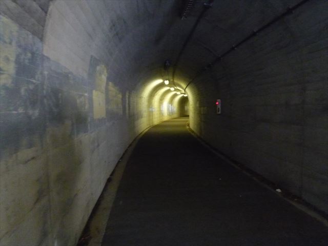 b0287088_20325662.jpg