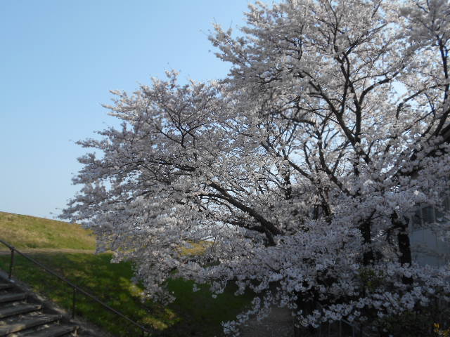 a0194797_23133059.jpg