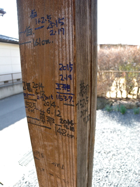 a0199297_20395491.jpg
