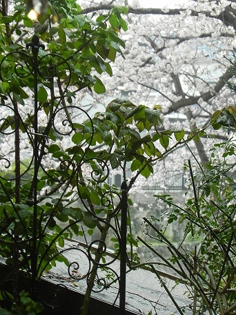 c0152002_18315017.jpg