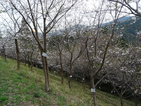 b0052108_14521624.jpg