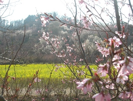 c0247614_8384927.jpg