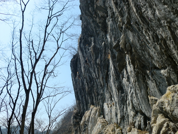c0210618_1058763.jpg