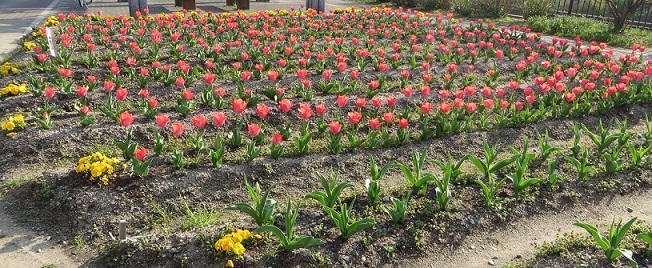 c0280322_22541505.jpg