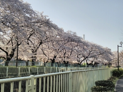 f0106823_547339.jpg