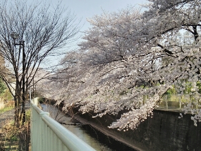 f0106823_5475292.jpg