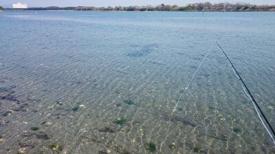 b0259124_21352964.jpg