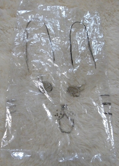 d0137326_10445786.jpg