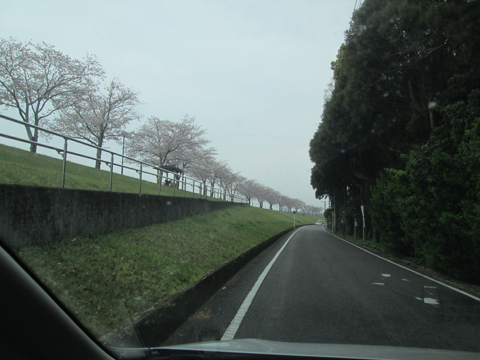 c0280729_14185710.jpg