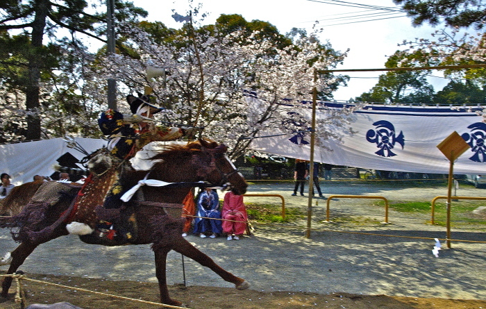 f0315034_13113140.jpg