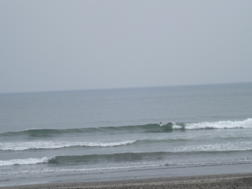 f0248337_8442535.jpg