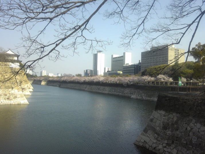 a0155838_1343695.jpg