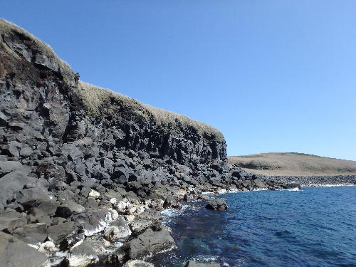 d0107938_1611346.jpg