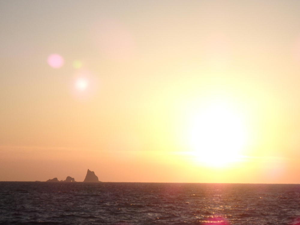 d0107938_16193859.jpg