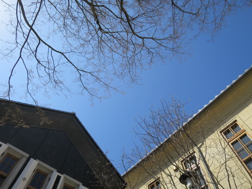 b0178339_08075811.jpg