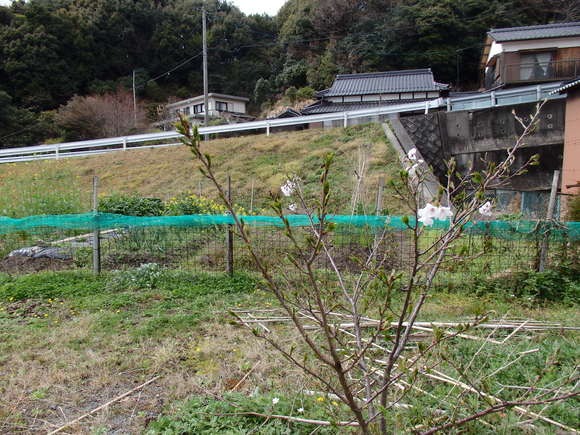 a0054240_2010425.jpg