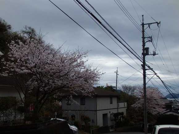 a0054240_20201123.jpg