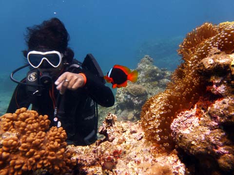 f0014842_1739828.jpg