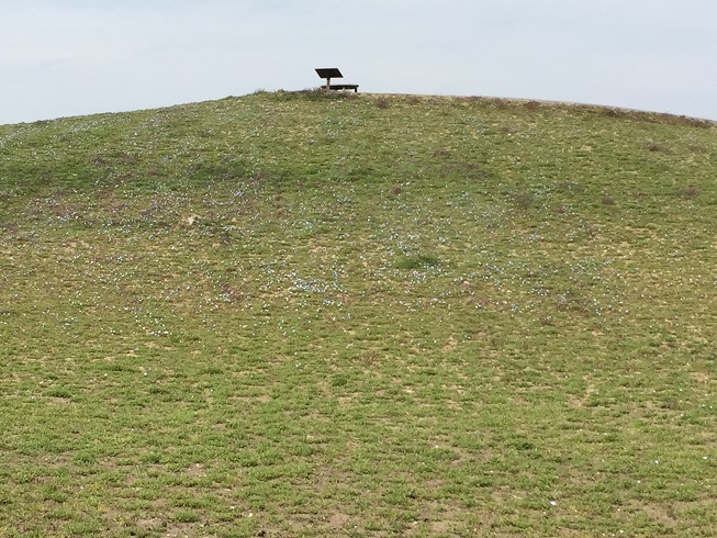 e0201748_914059.jpg