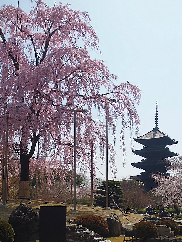 f0190950_13415899.jpg