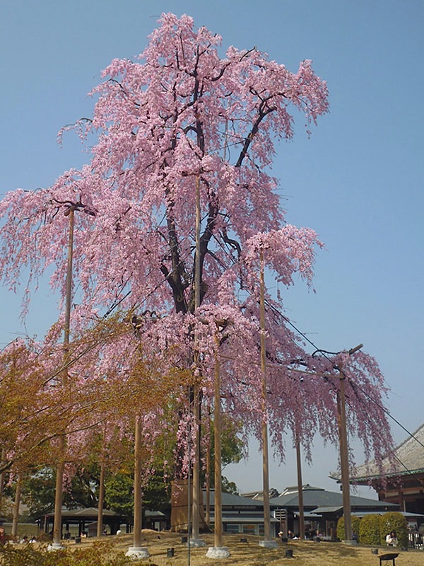 f0190950_13425234.jpg