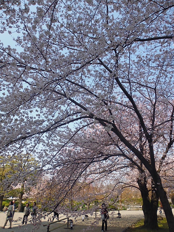 f0190950_13444738.jpg