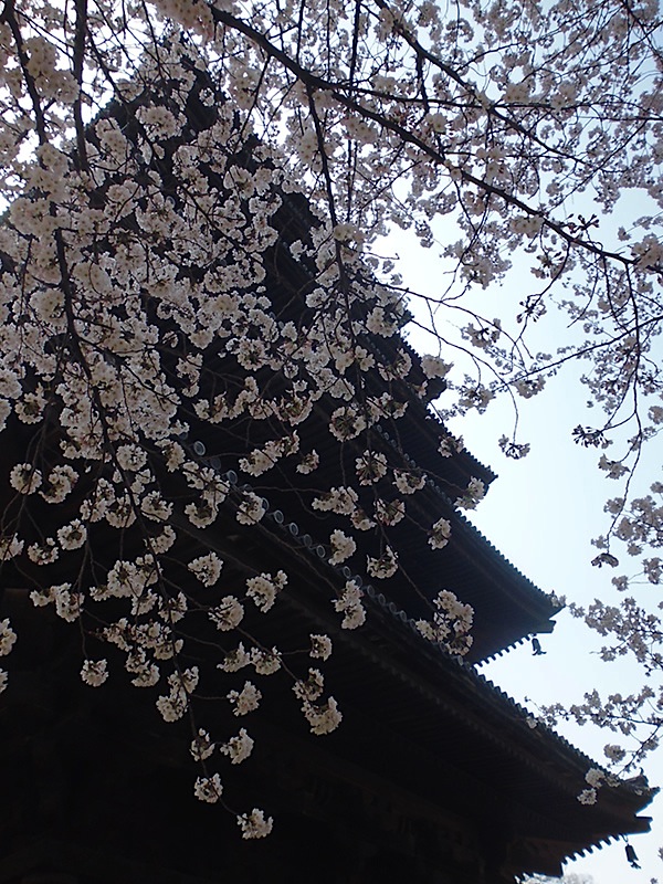f0190950_1345636.jpg