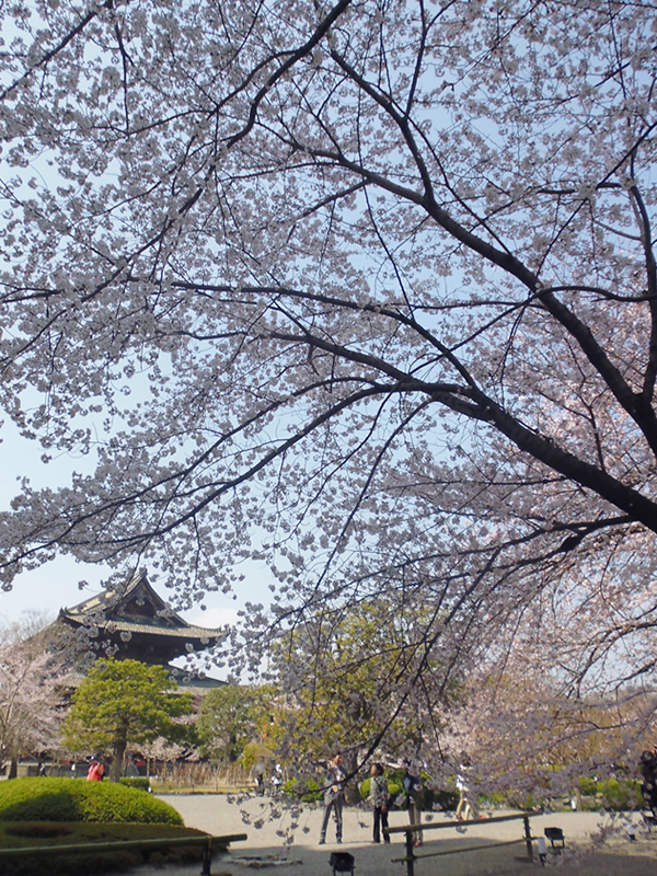 f0190950_13465450.jpg