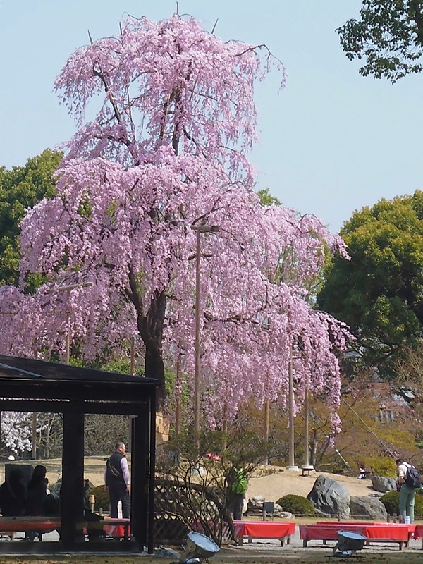 f0190950_13475213.jpg
