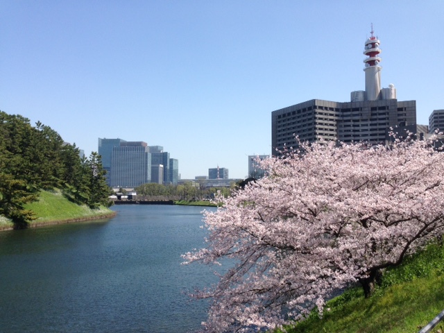 a0004752_7342685.jpg