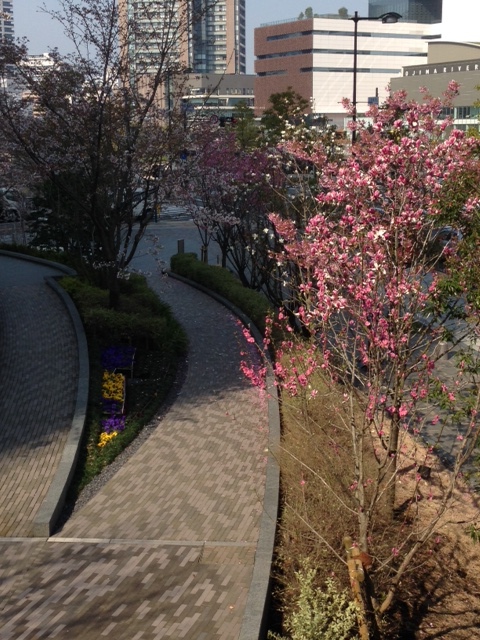 a0004752_81714100.jpg