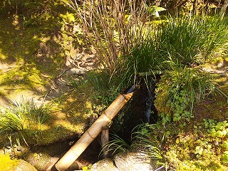 e0004756_2213282.jpg