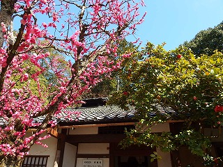 e0004756_2261448.jpg