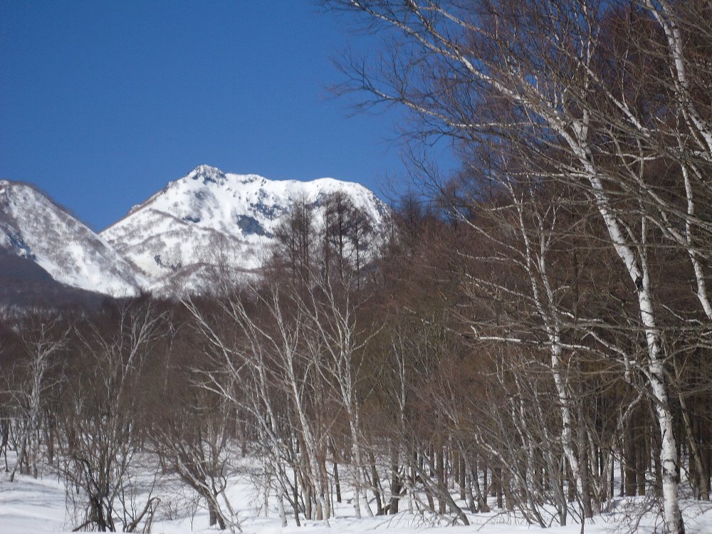 a0336959_17161190.jpg
