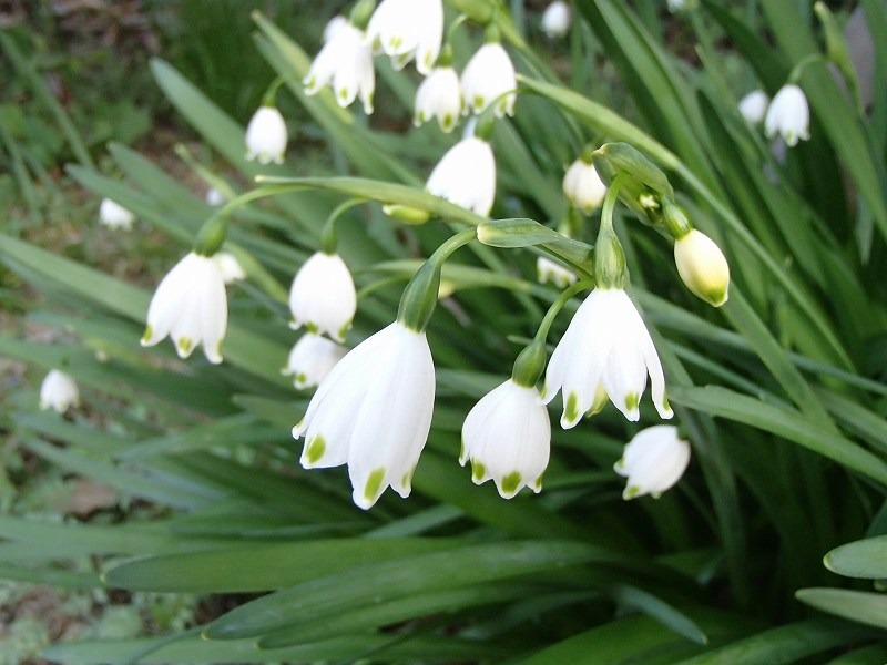 b0044663_08131.jpg