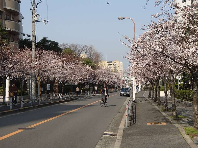 b0044663_085943.jpg
