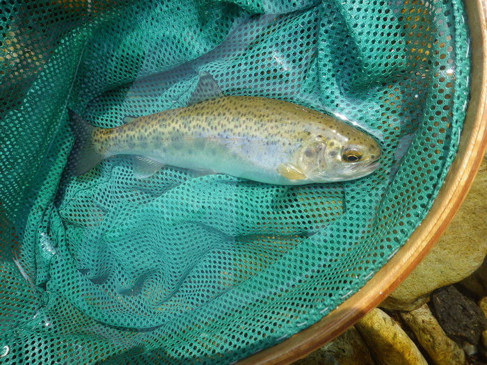 b0120066_11218.jpg