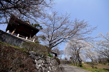 f0342371_1951955.jpg