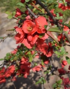f0342371_7181953.jpg