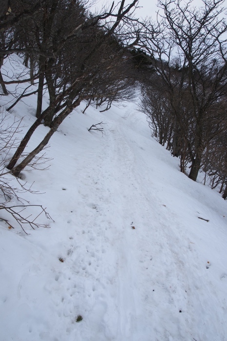 e0307372_21144896.jpg