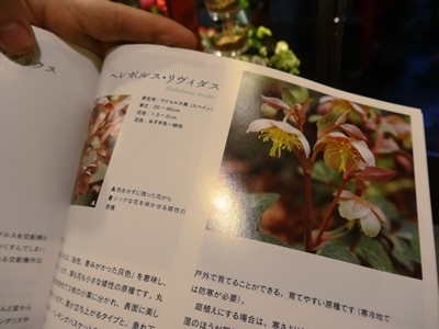 e0264374_15412219.jpg